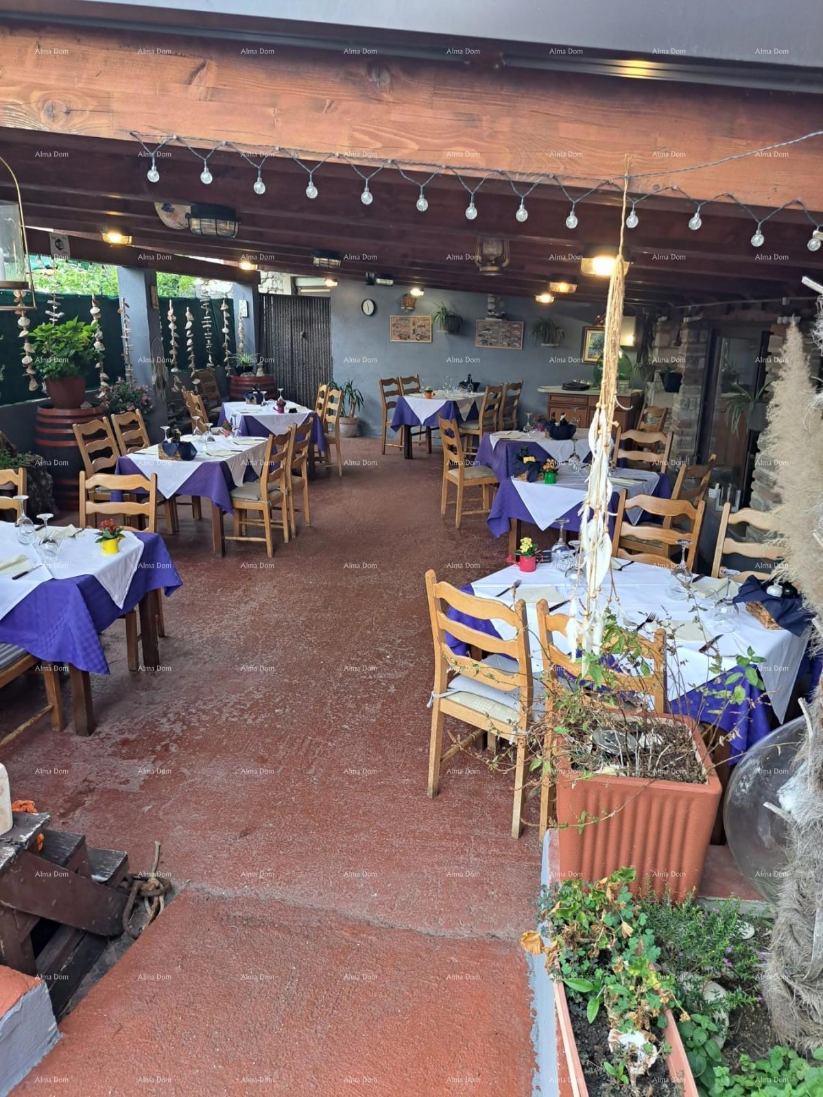 In vendita casa con cantina, grande terrazza, due appartamenti trilocali, giardino. Ottima opportunità di investimento!