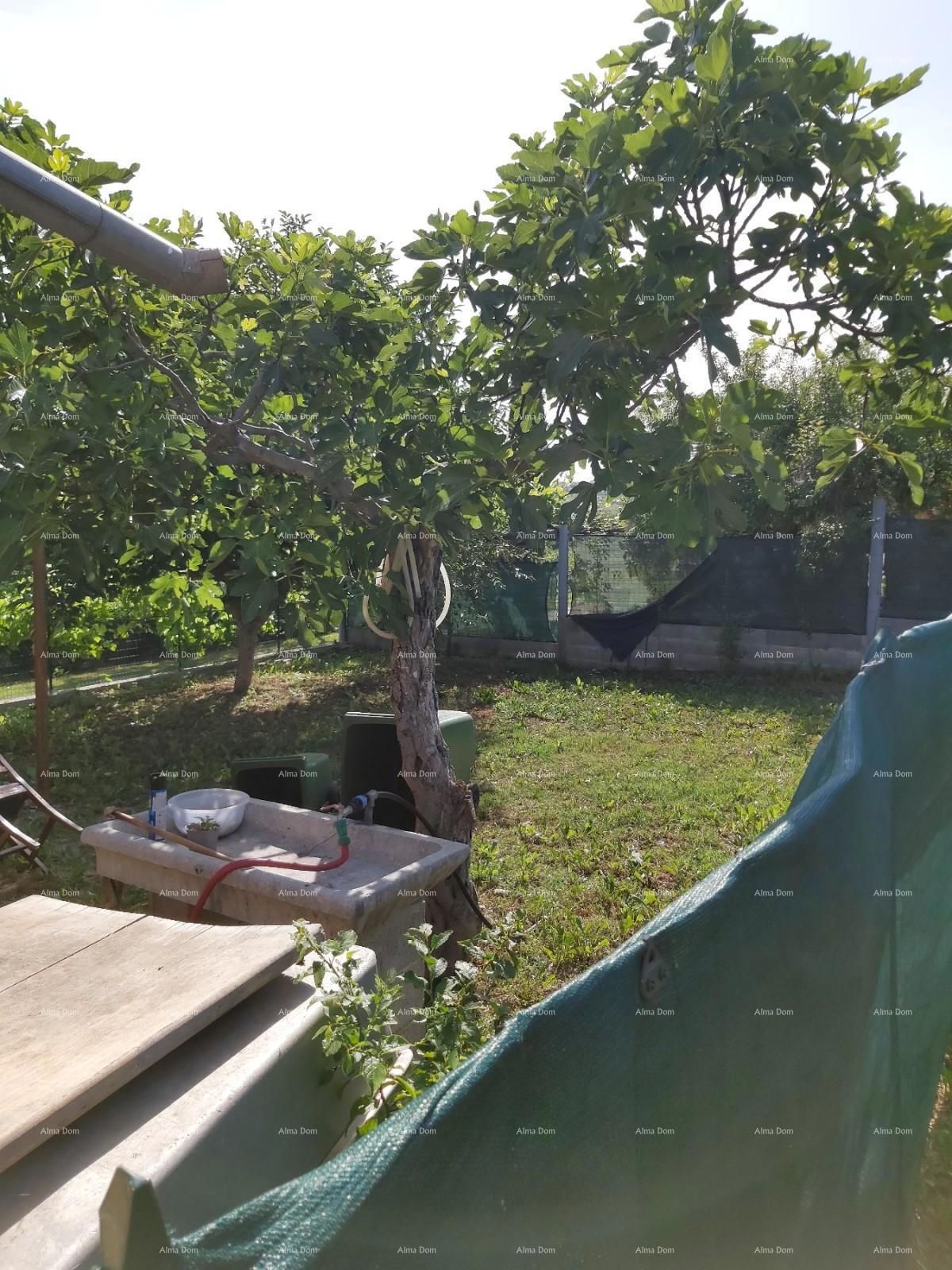 In vendita casa con cantina, grande terrazza, due appartamenti trilocali, giardino. Ottima opportunità di investimento!