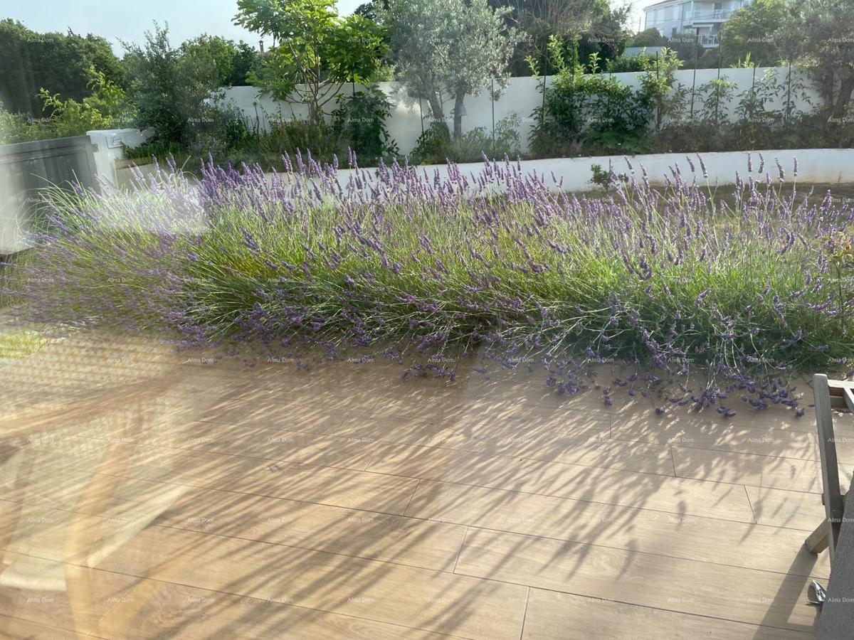 Moderna villa in Istria con vista mare, terrazza sul tetto e giardino curato – 800 m dalla spiaggia