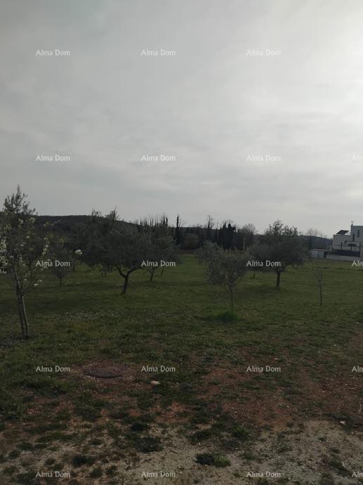 Terreno attraente, 5.716 m²,  nei dintorni di Poreč