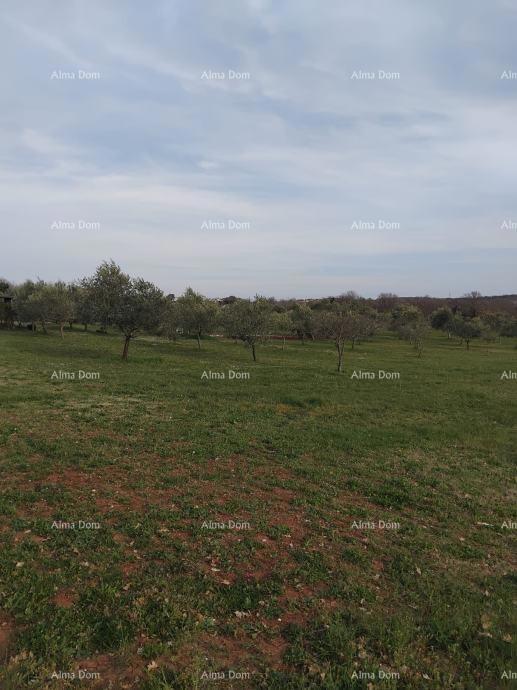 Terreno attraente, 5.716 m²,  nei dintorni di Poreč