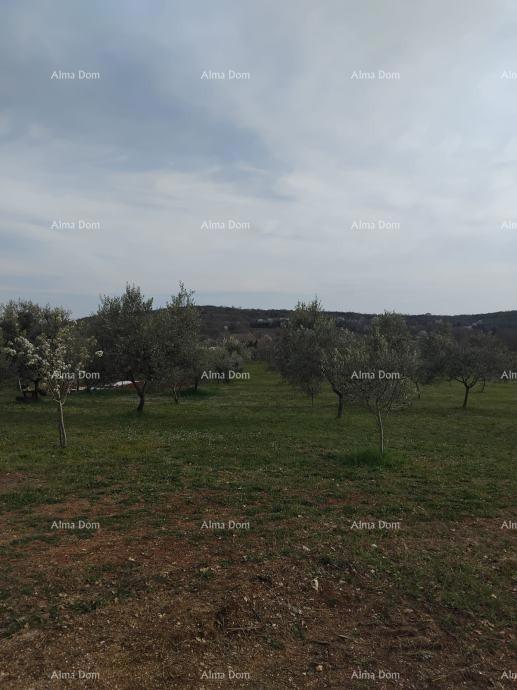 Terreno attraente, 5.716 m²,  nei dintorni di Poreč