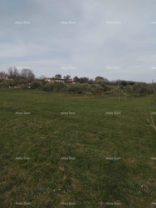 Terreno attraente, 5.716 m²,  nei dintorni di Poreč