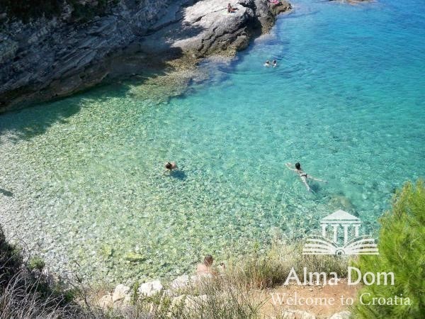 Casa con 4 appartamenti e la piscina a Premontore!