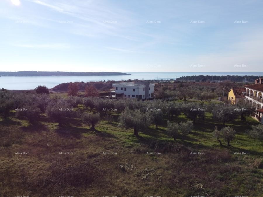 Appartamento con terrazza sul tetto - Residence Novi Home Novigrad