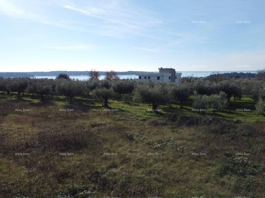 Appartamento con terrazza sul tetto - Residence Novi Home Novigrad