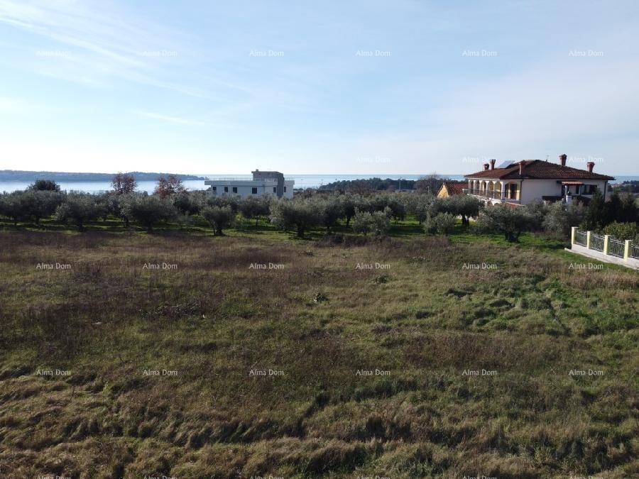 Appartamento con terrazza sul tetto - Residence Novi Home Novigrad