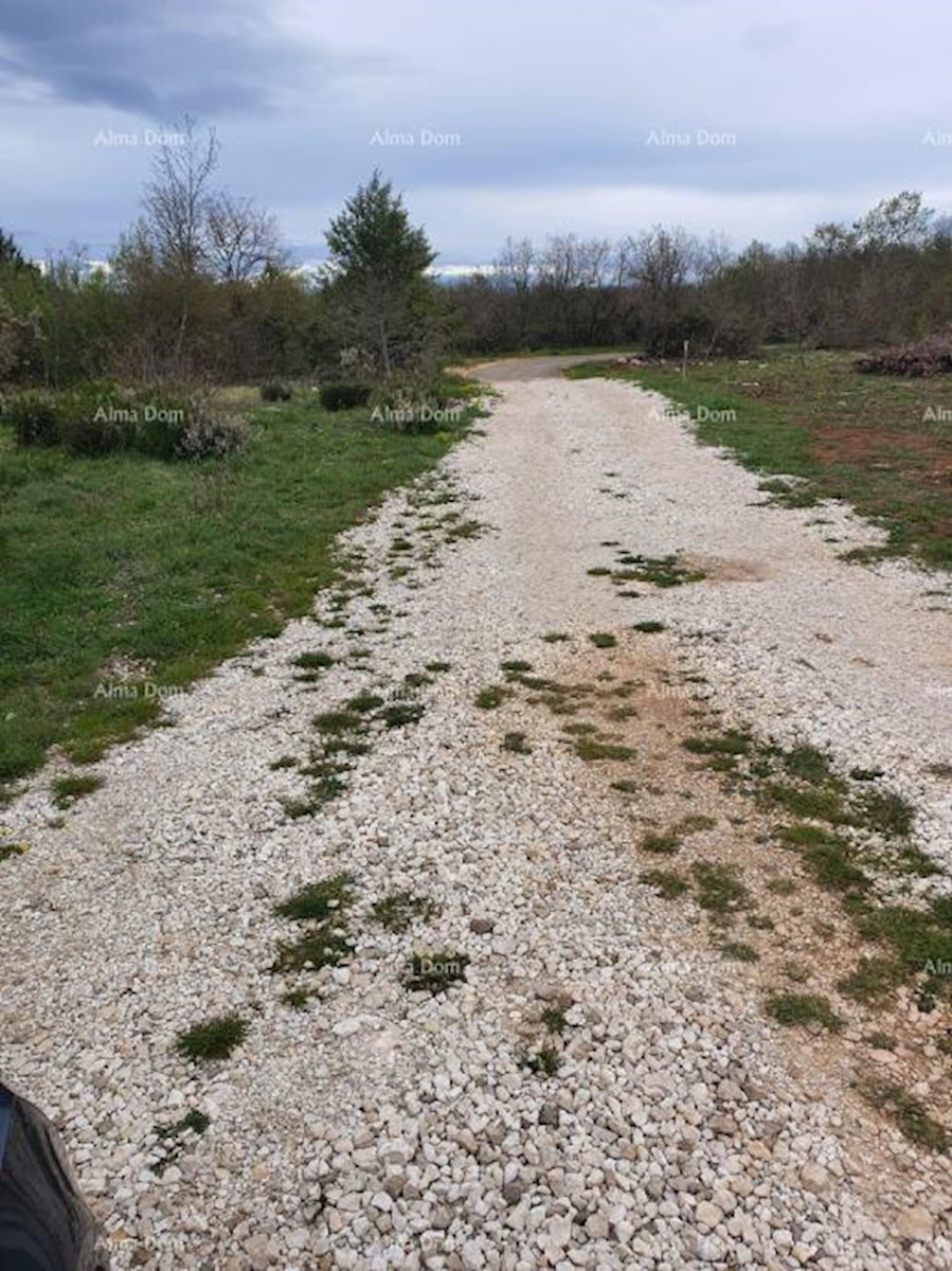 Vendita di terreni agricoli, Marčana