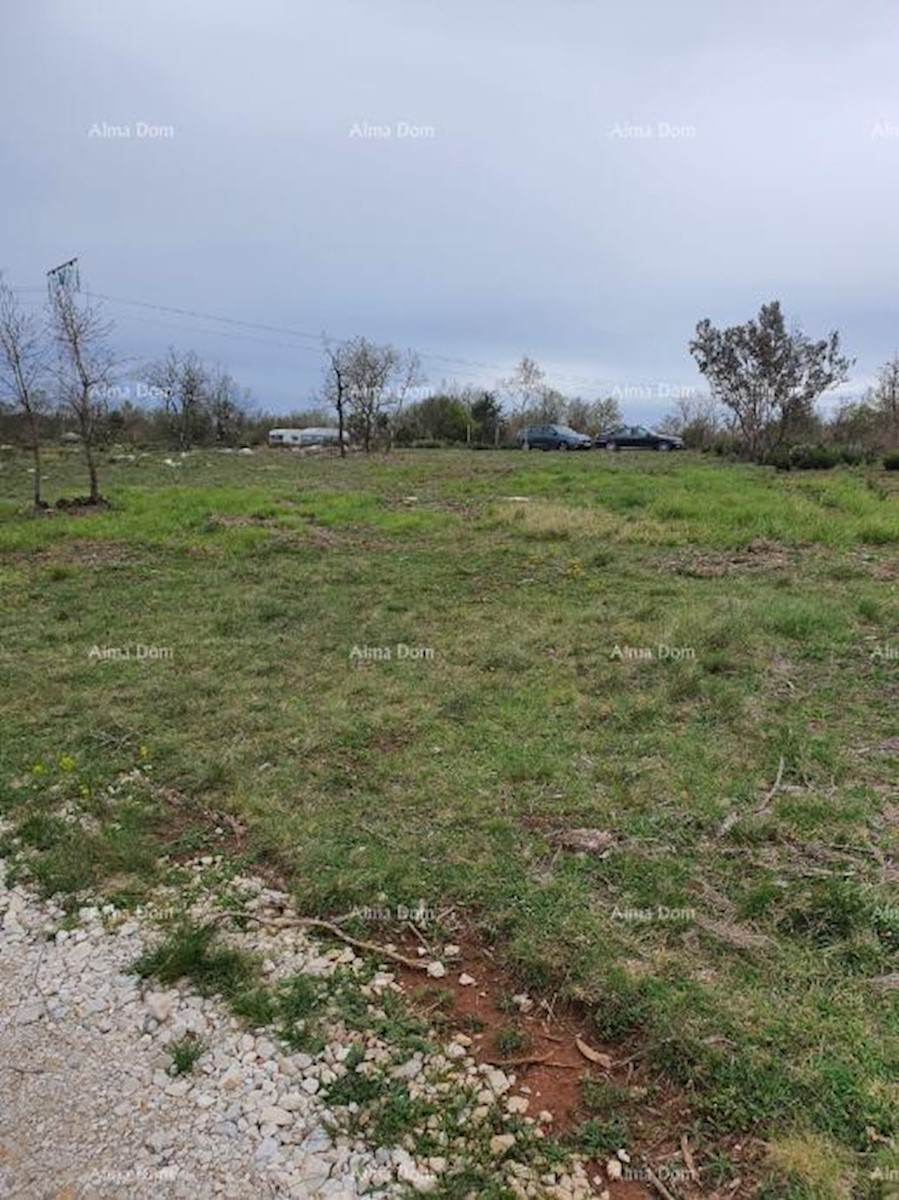 Vendita di terreni agricoli, Marčana