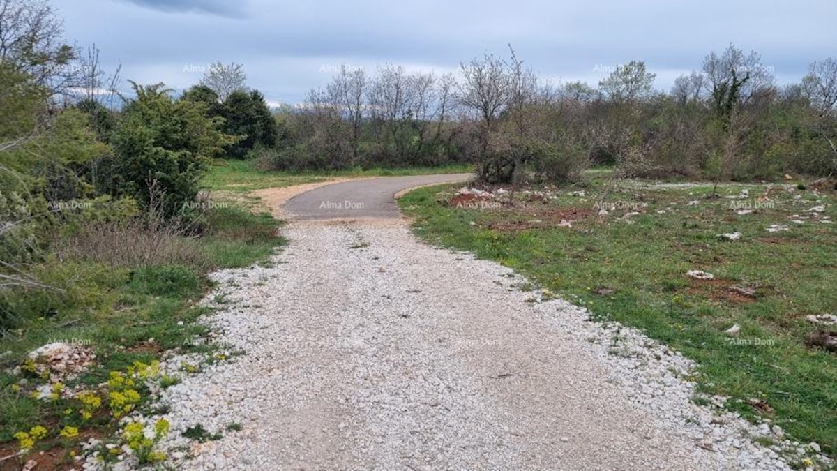 Vendita di terreni agricoli, Marčana