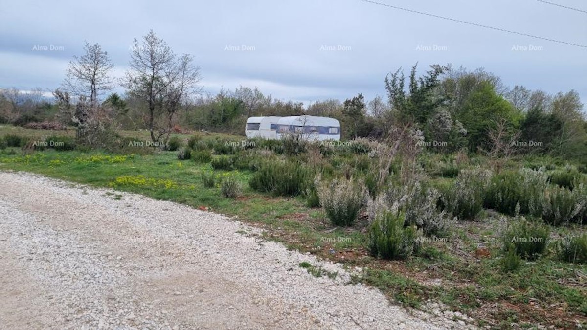 Vendita di terreni agricoli, Marčana