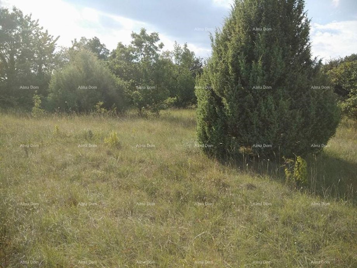 Bibići terreno agricolo in vendita