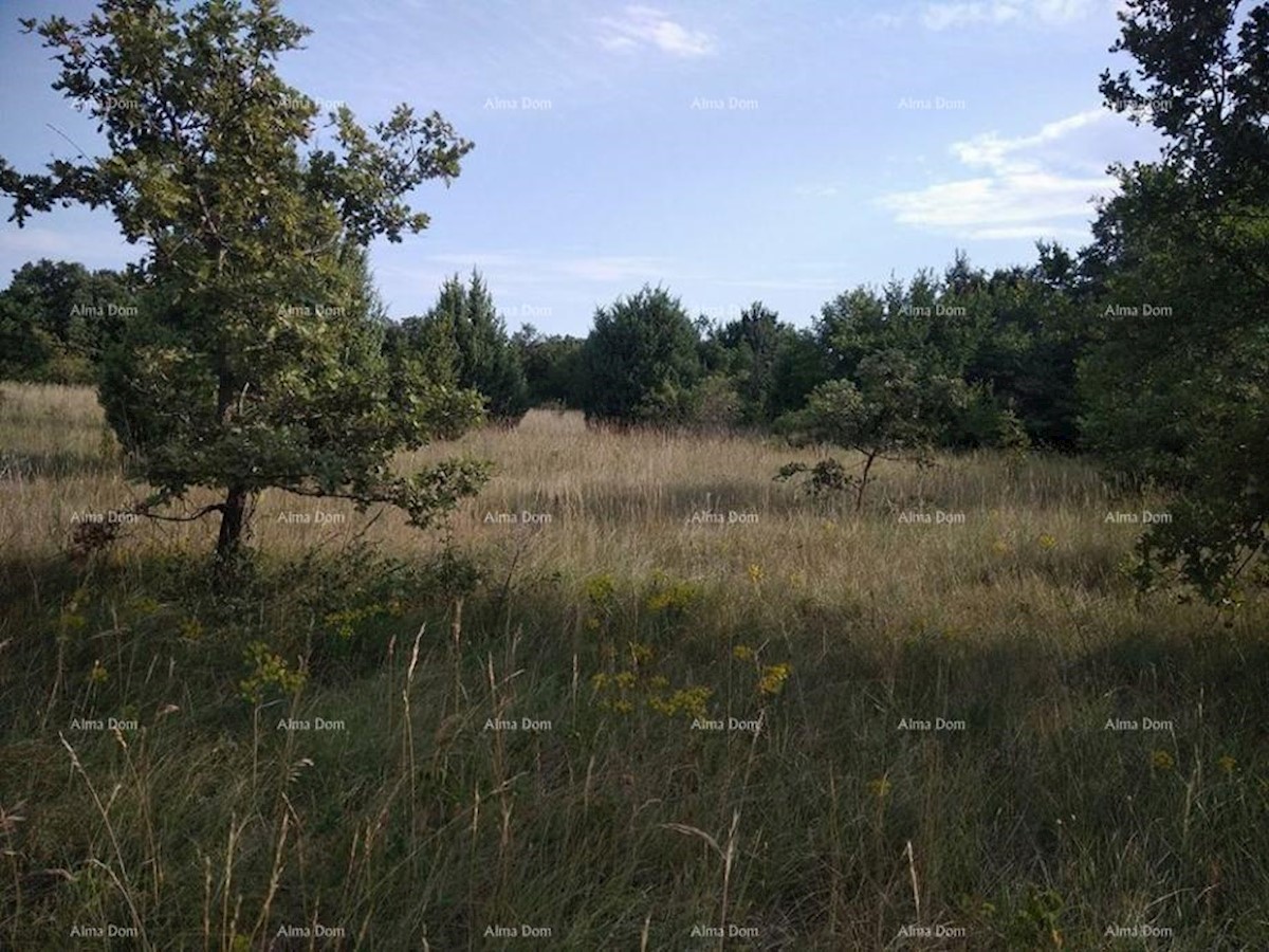 Bibići terreno agricolo in vendita