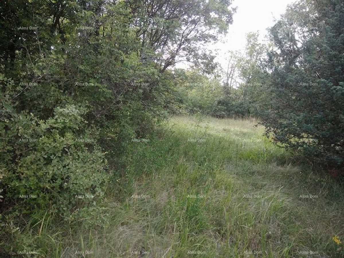 Bibići terreno agricolo in vendita