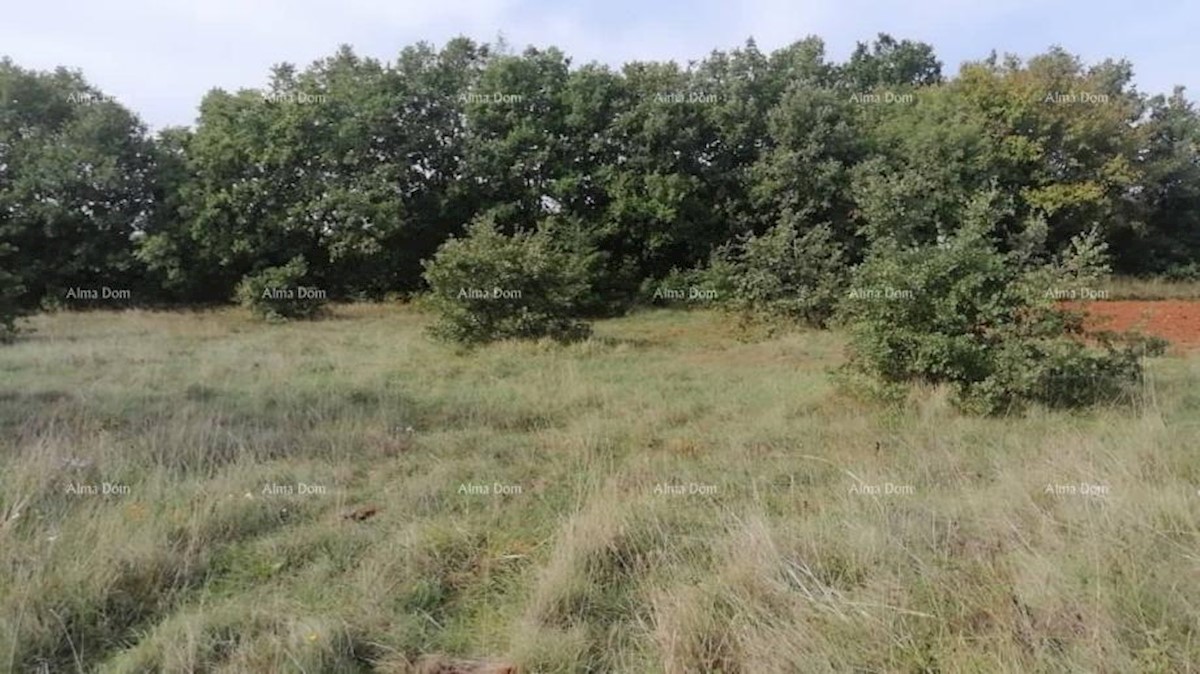 Bibići terreno agricolo in vendita