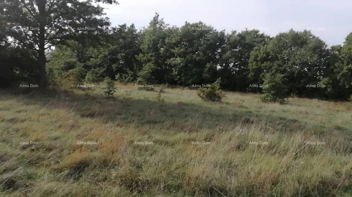 Bibići terreno agricolo in vendita