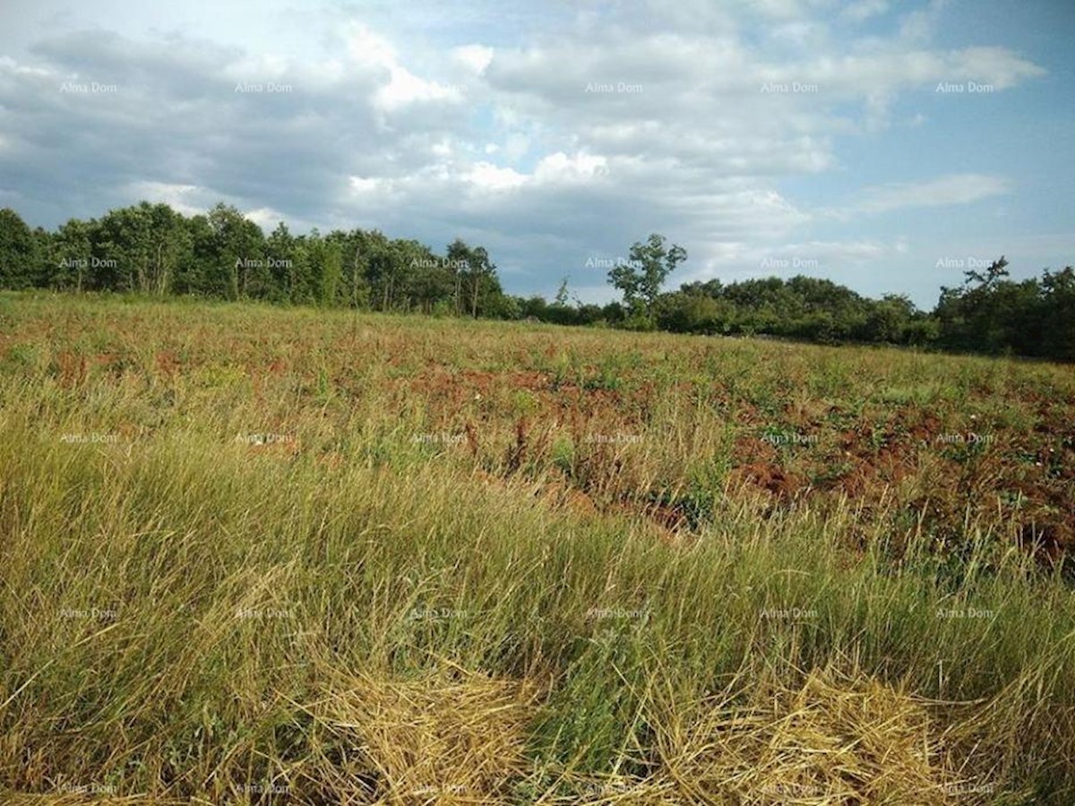 Bibići terreno agricolo in vendita