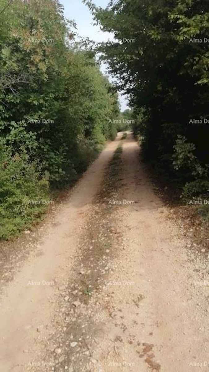 Bibići terreno agricolo in vendita