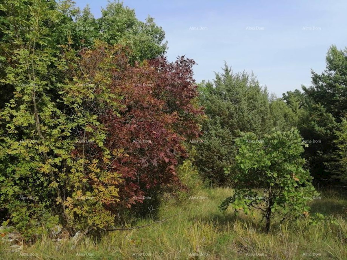 Bibići terreno agricolo in vendita