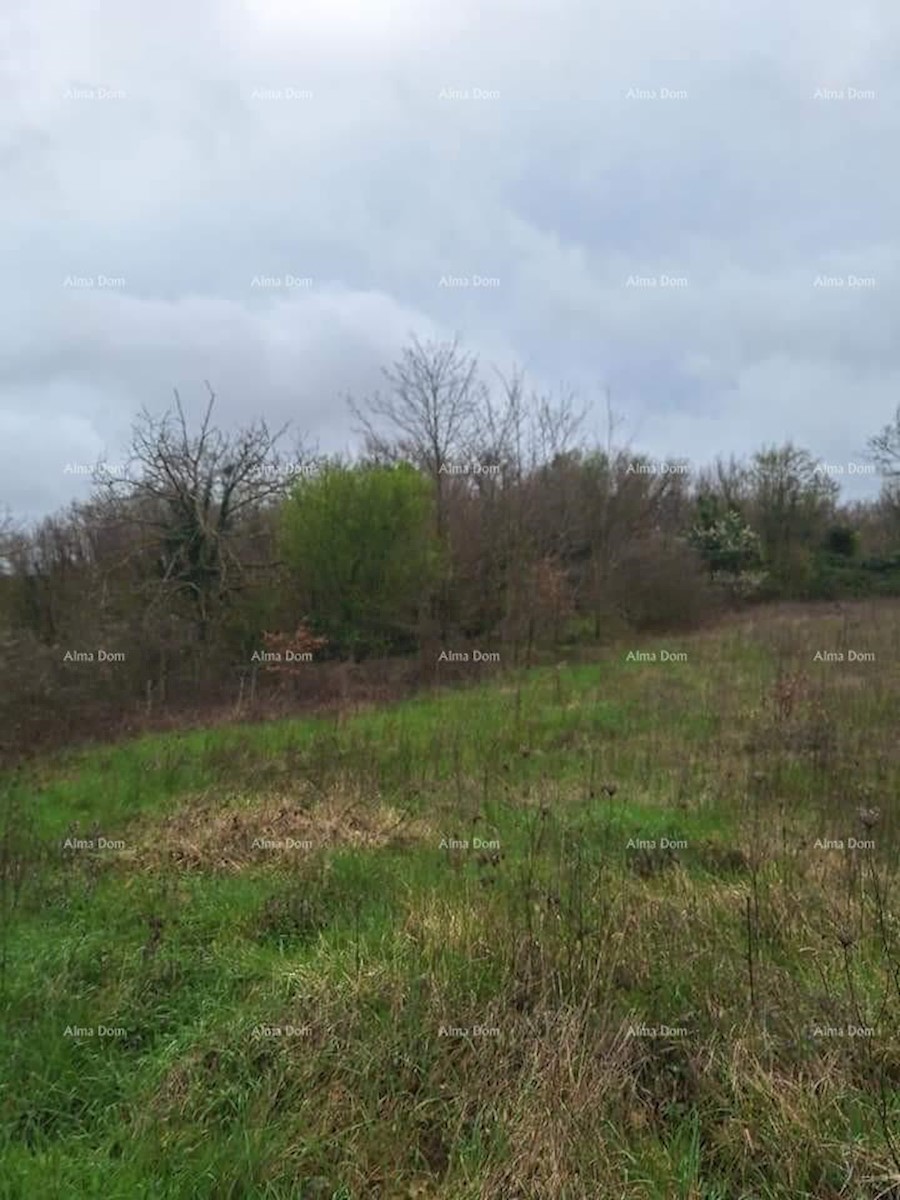 Terreno edificabile e agricolo in vendita, vicino a Gimino