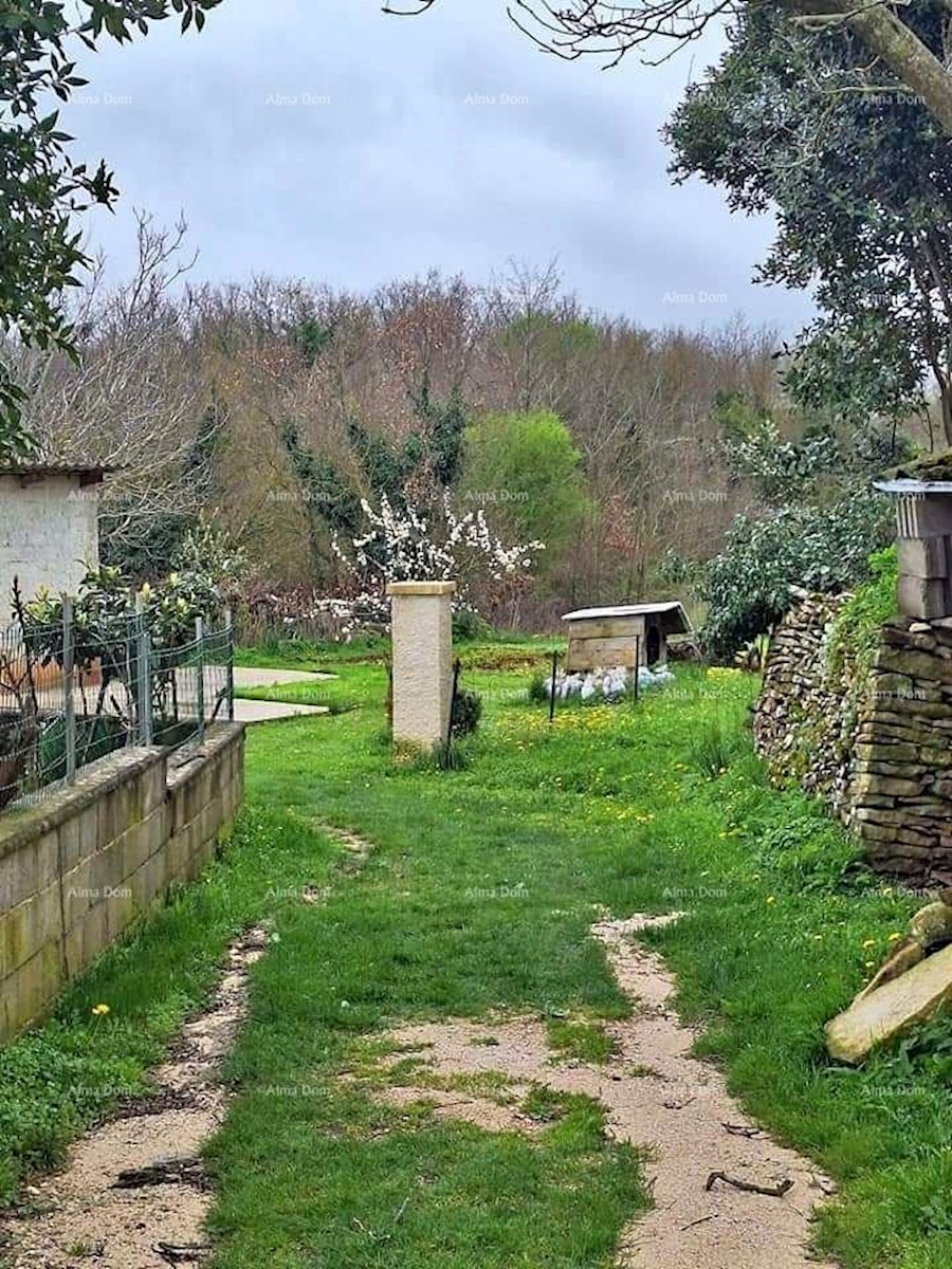 Terreno edificabile e agricolo in vendita, vicino a Gimino