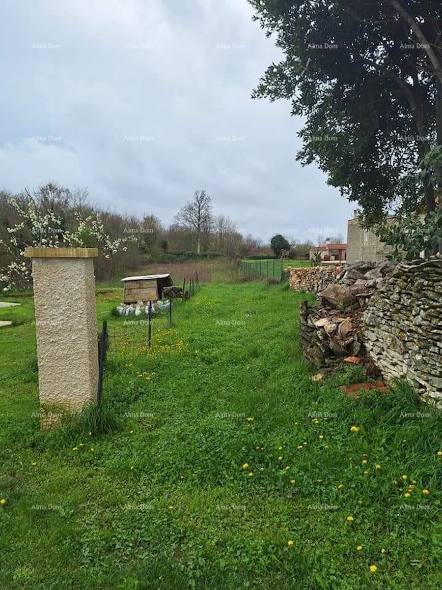 Terreno edificabile e agricolo in vendita, vicino a Gimino