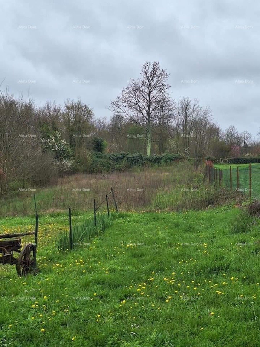 Terreno edificabile e agricolo in vendita, vicino a Gimino