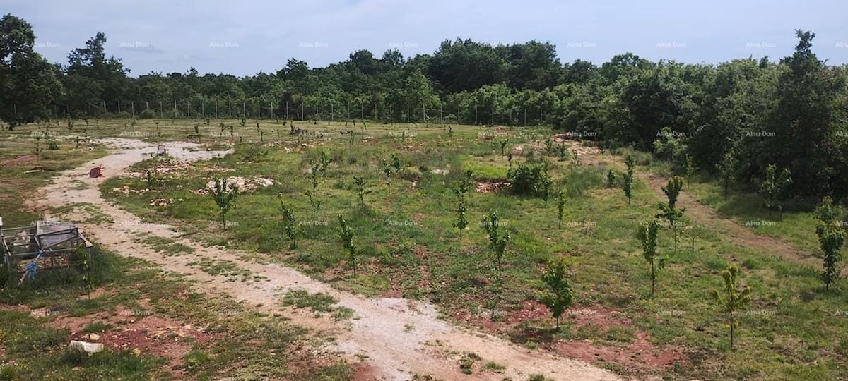 Vendita di terreno con permesso di costruzione per la costruzione di una villa con piscina, Sanvincenti!