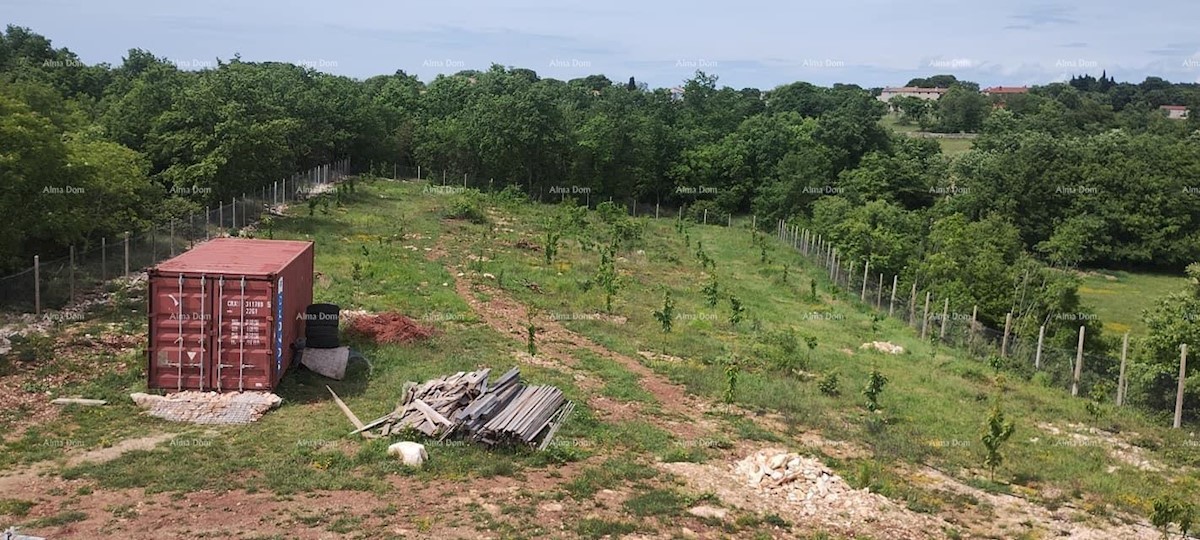 Vendita di terreno con permesso di costruzione per la costruzione di una villa con piscina, Sanvincenti!