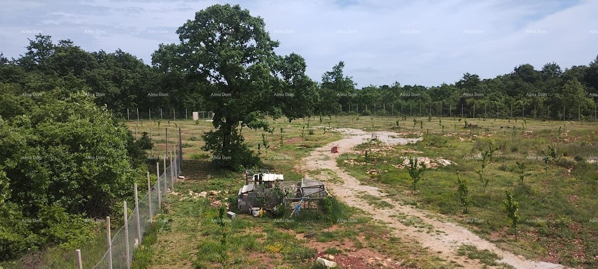 Vendita di terreno con permesso di costruzione per la costruzione di una villa con piscina, Sanvincenti!