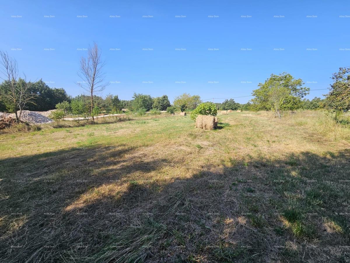 Terreno edificabile Žminj