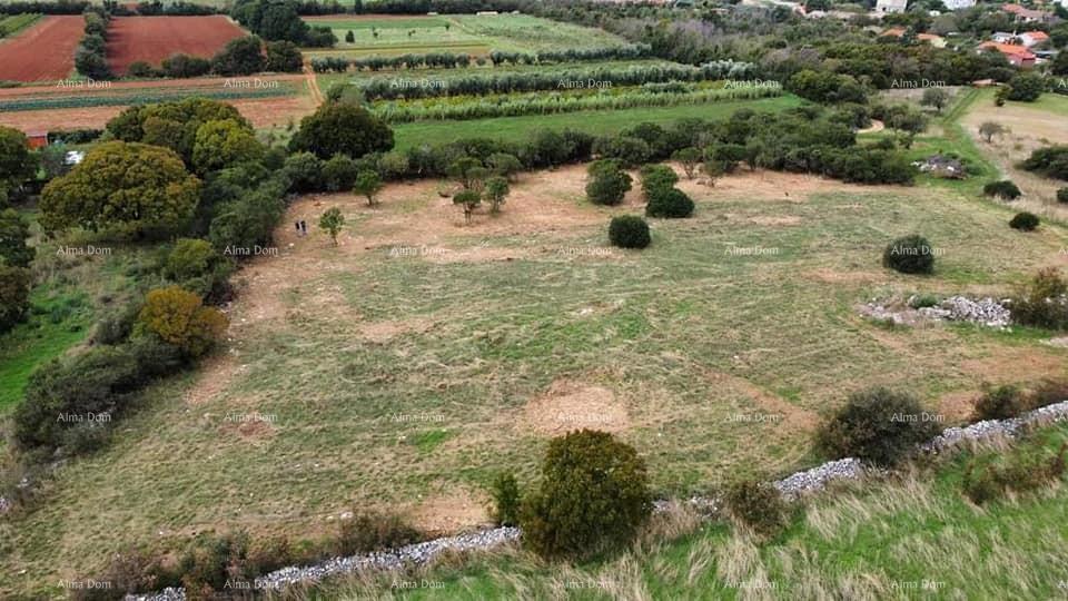 Terreno agricolo Pula