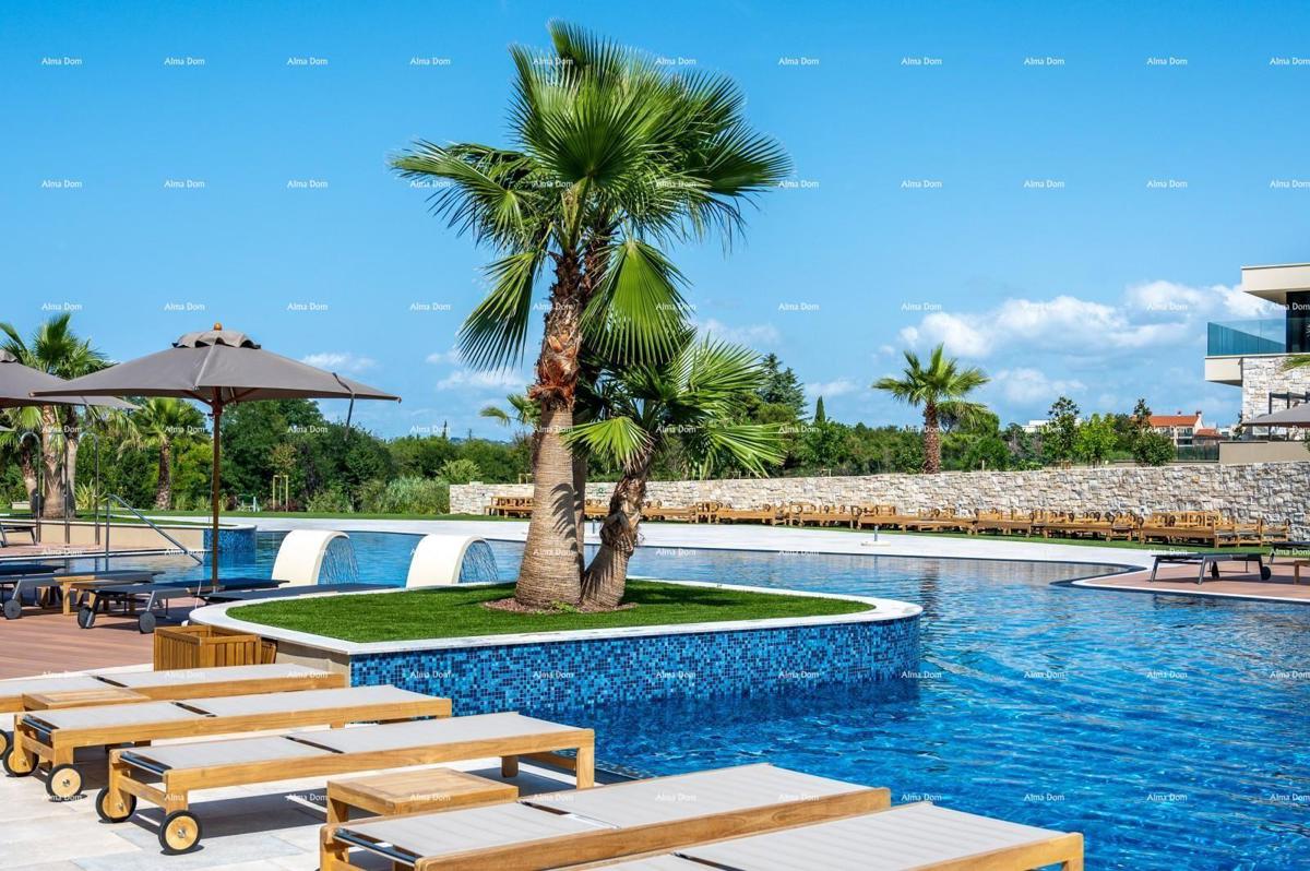 Umag. Alberi. Resort di lusso con piscina a sfioro sul tetto!