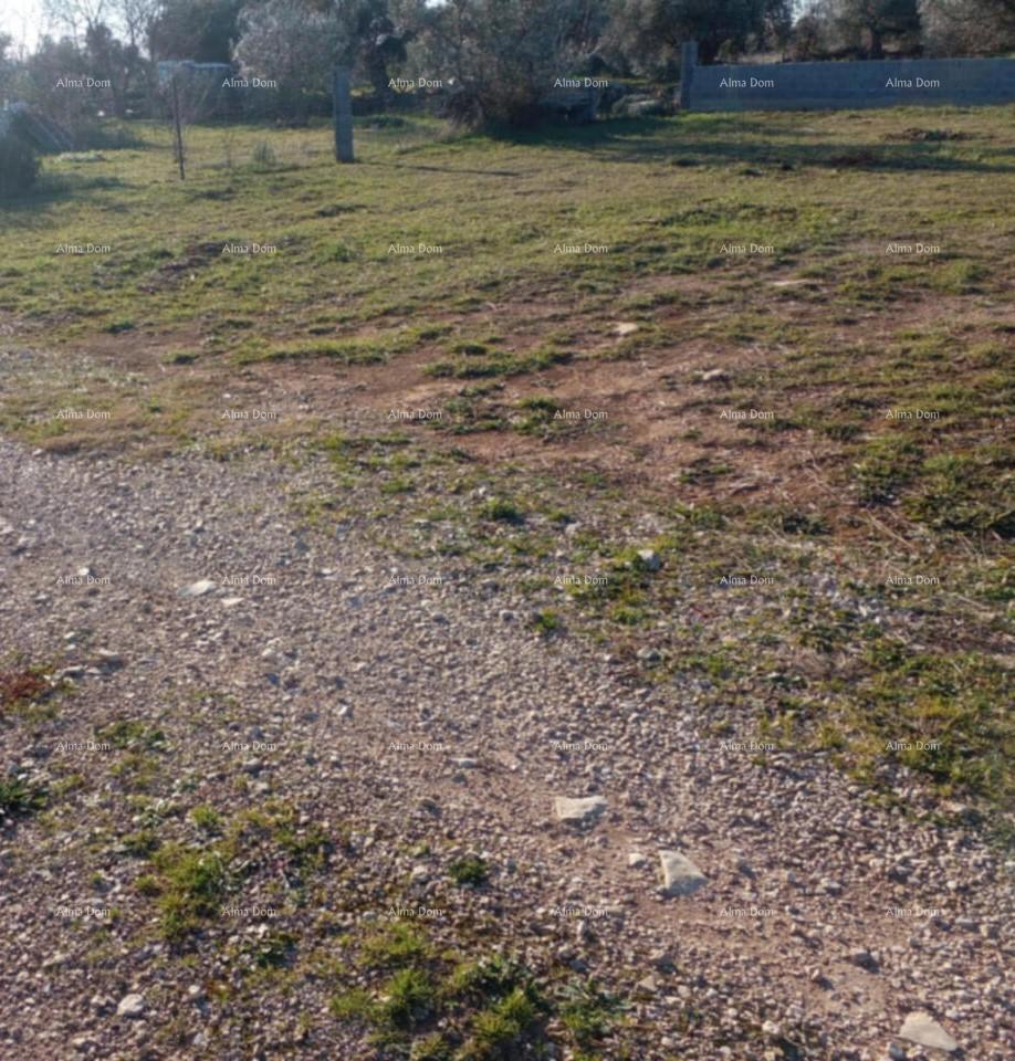 Terreno agricolo Fažana