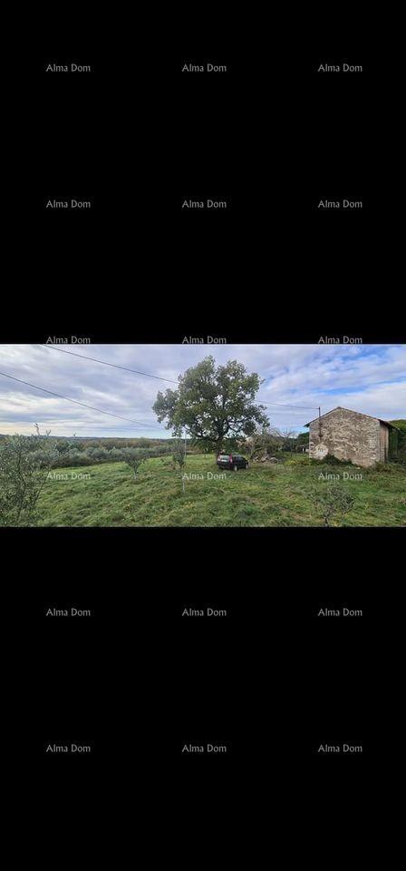 Casa in pietra d'Istria in vendita, Oprtalj