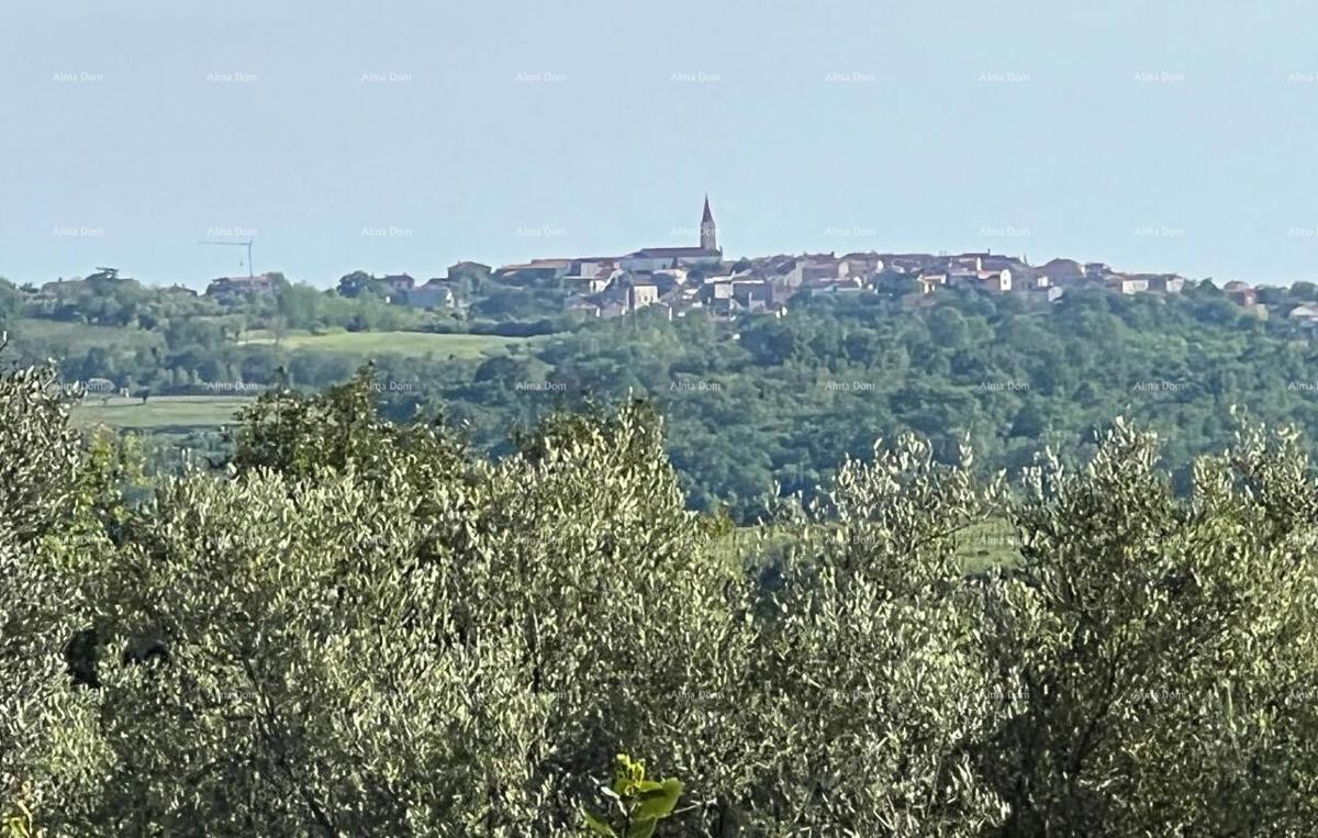 Terreno edificabile Buje