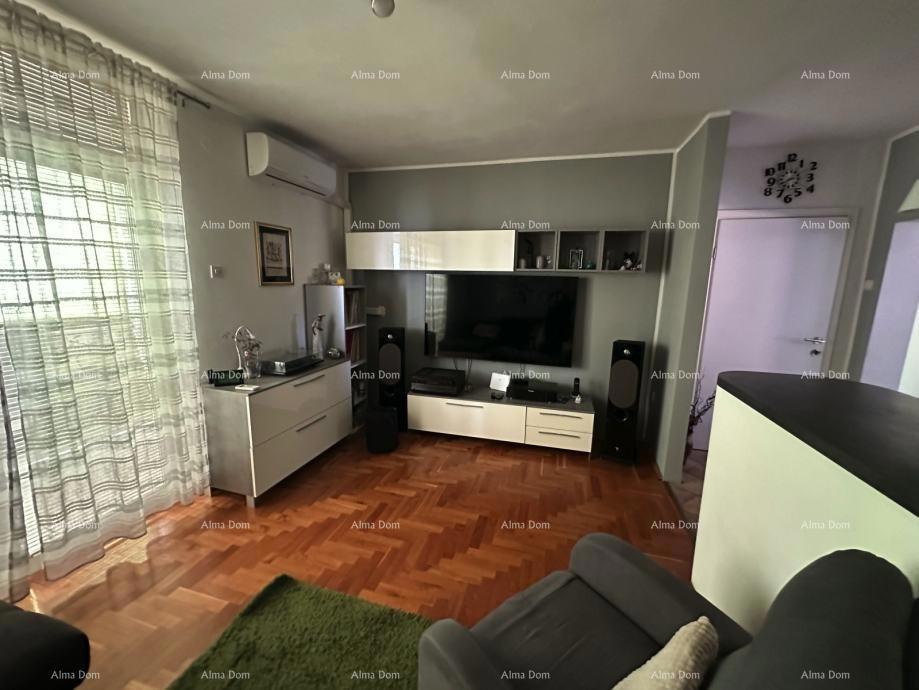 Appartamento in vendita a Buje.