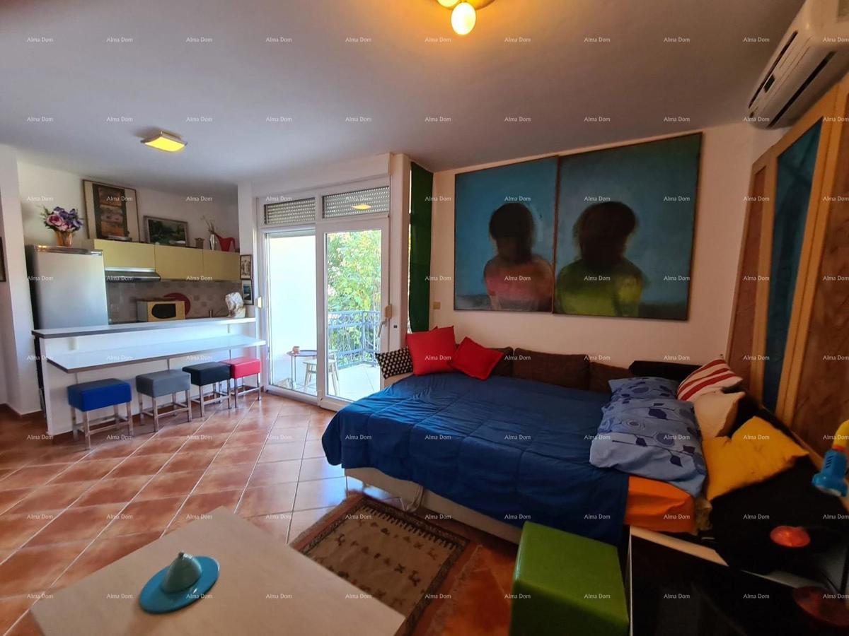 Studio appartamento 36 m² – Valbandon, Fažana