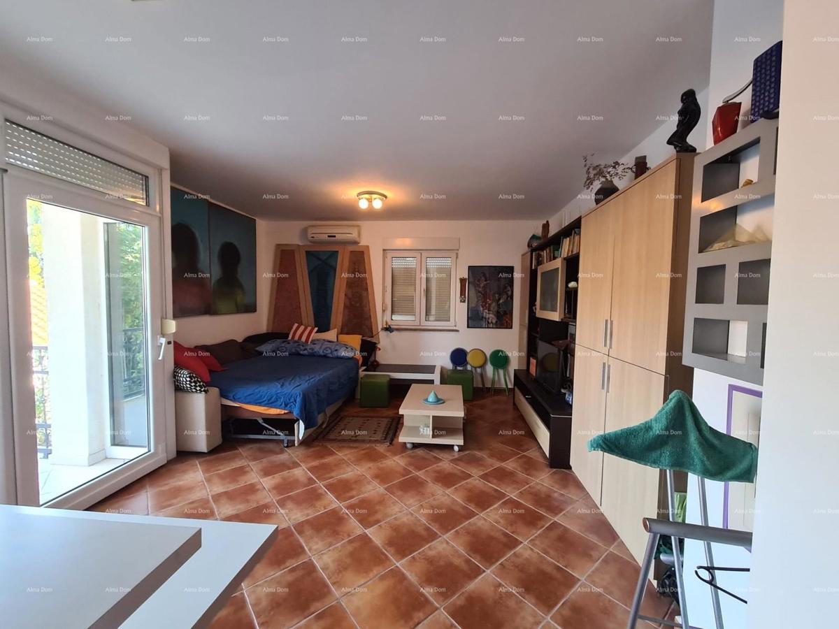Studio appartamento 36 m² – Valbandon, Fažana
