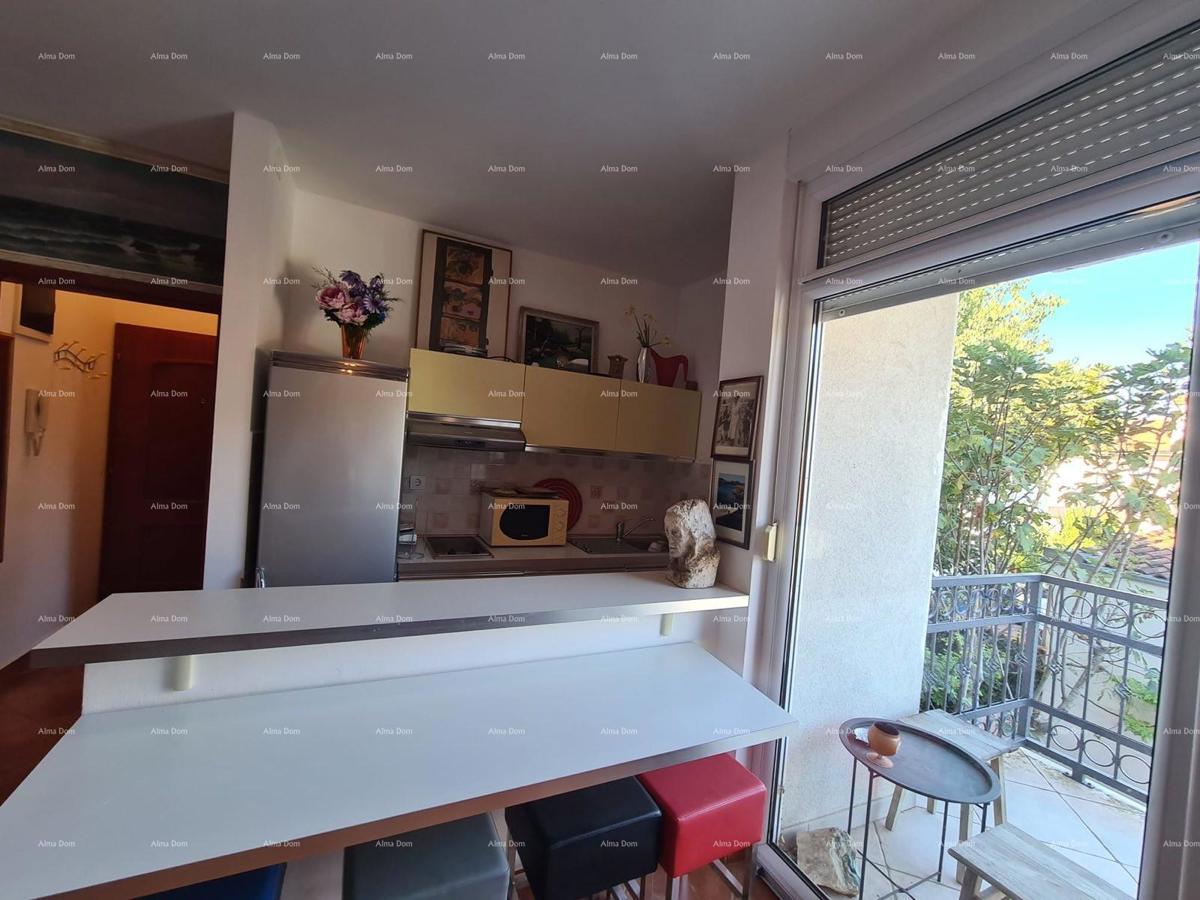 Studio appartamento 36 m² – Valbandon, Fažana