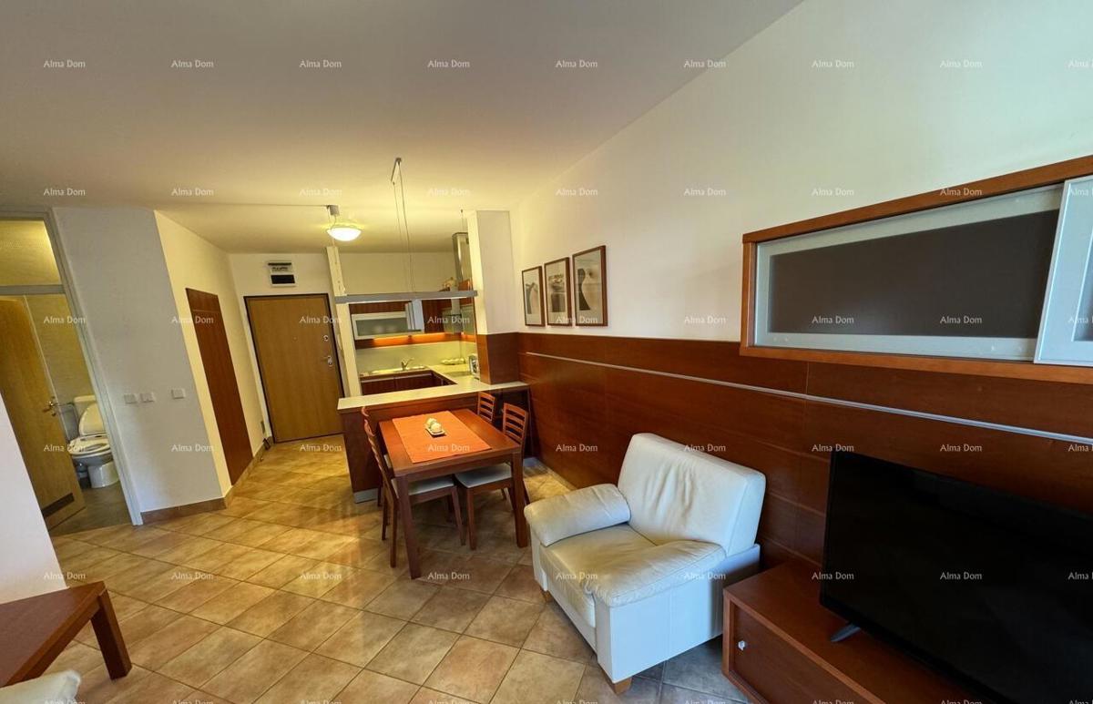 Appartamento Novigrad