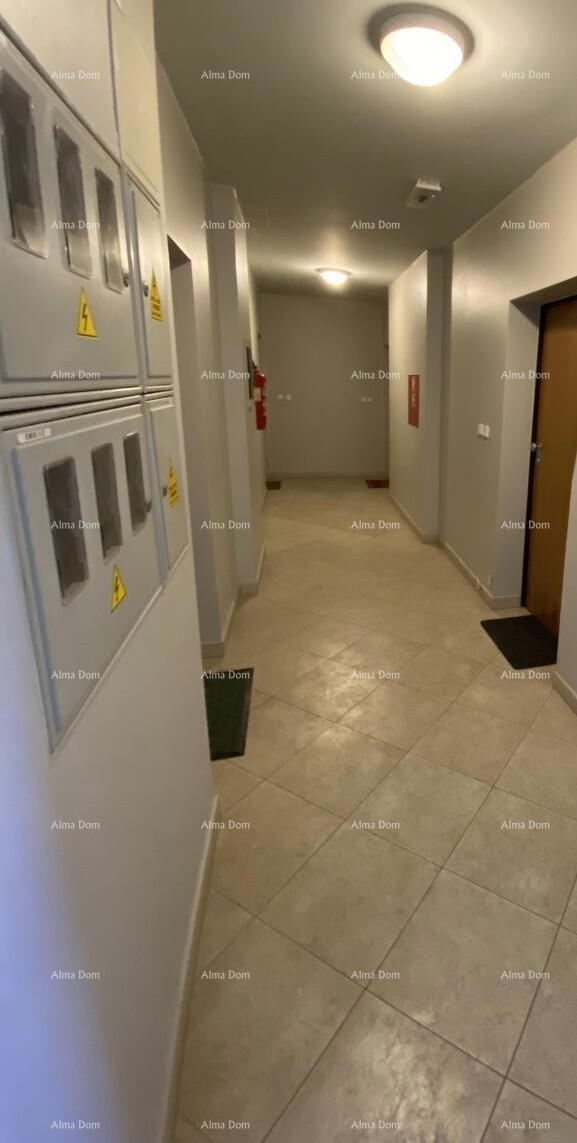 Appartamento Novigrad