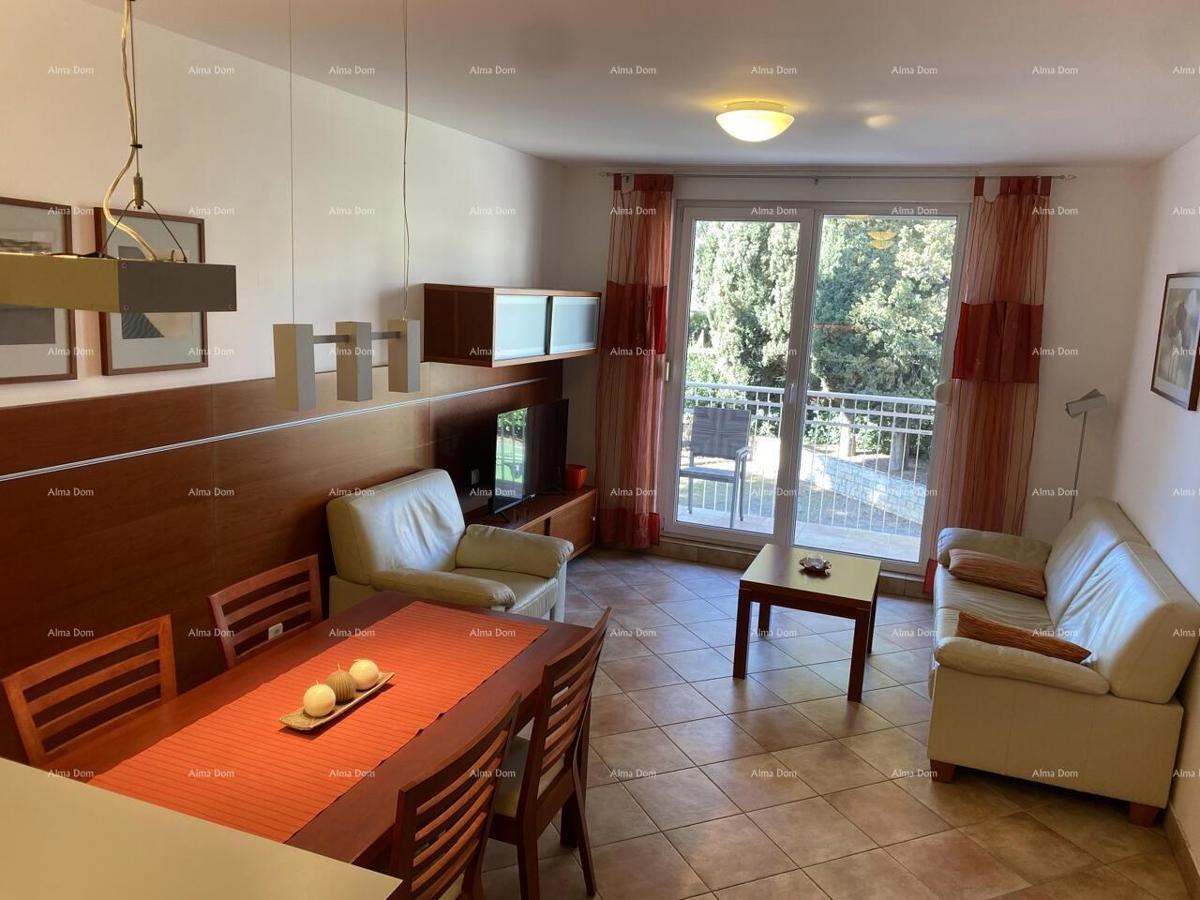 Appartamento Novigrad