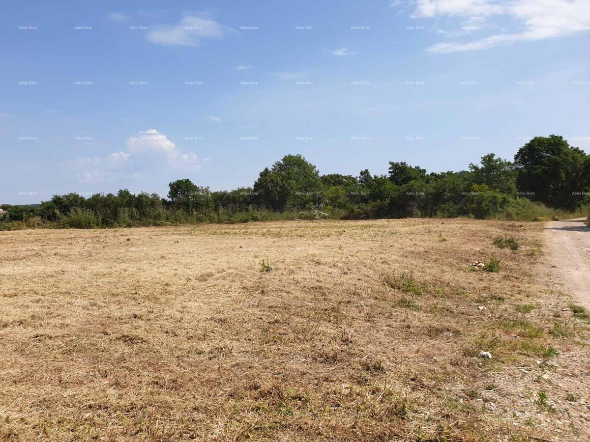 Prostrana costruzione di 1700 m² a Šišan - un'opportunità ideale per la tua casa o investimento