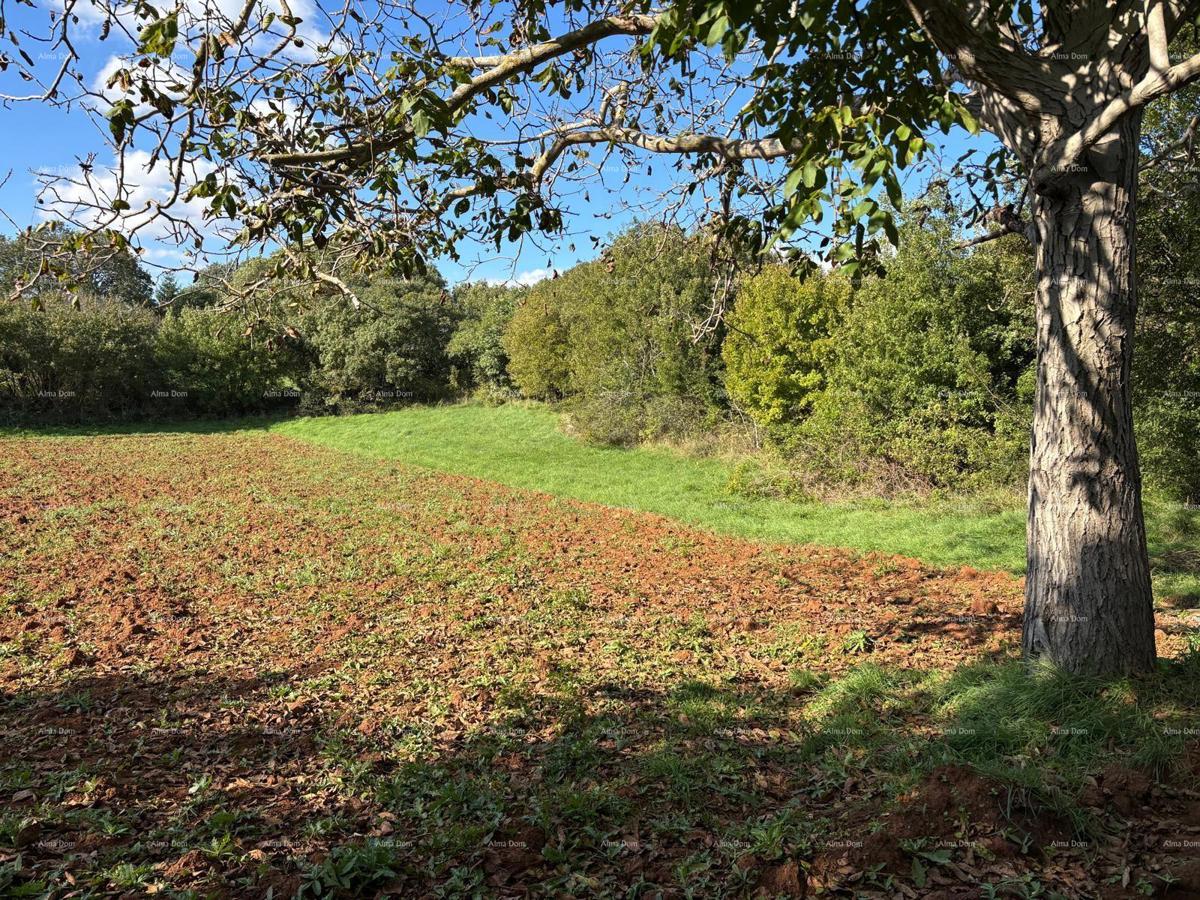 MARČANA - In vendita: Nuovo complesso eco-hotel in stile