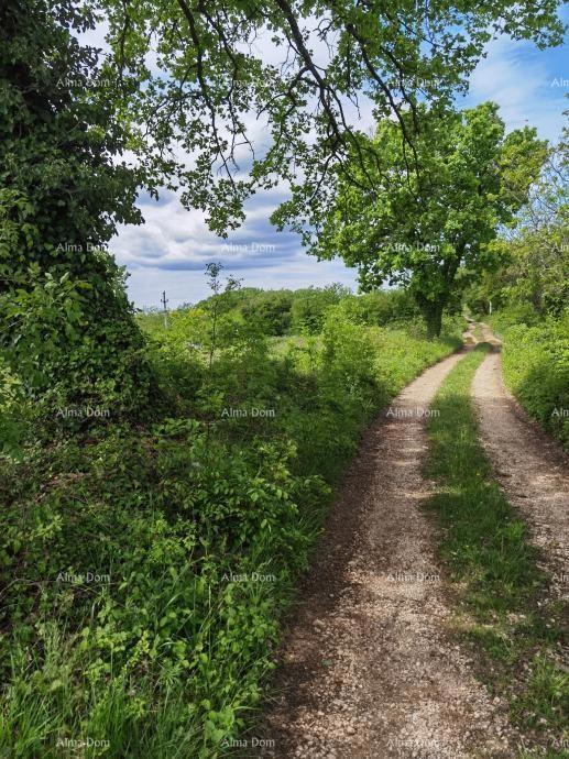 Ottimo terreno edificabile per investimento.