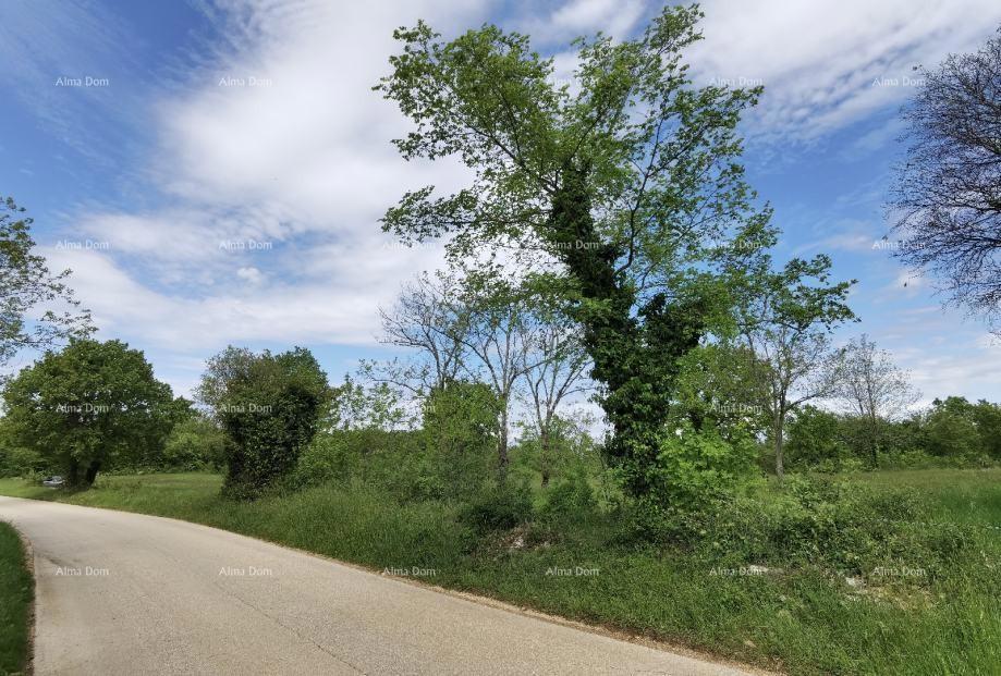 Ottimo terreno edificabile per investimento.