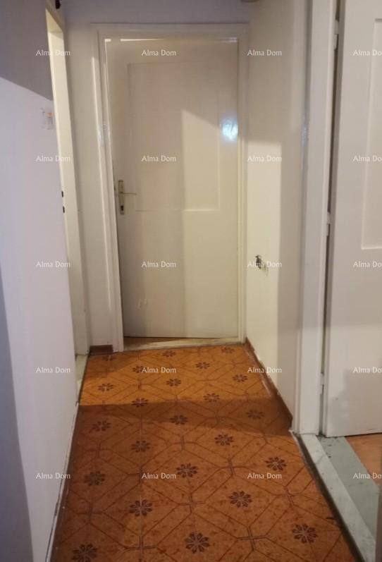 In Vendita: Due Unità Abitative a Umago