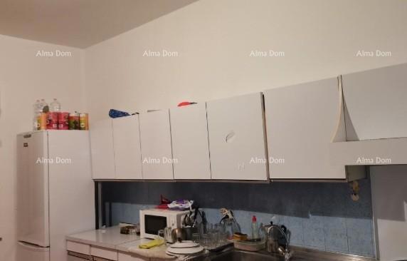 In Vendita: Due Unità Abitative a Umago