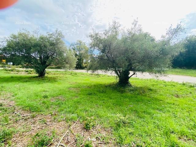 Terreno edificabile Krnica